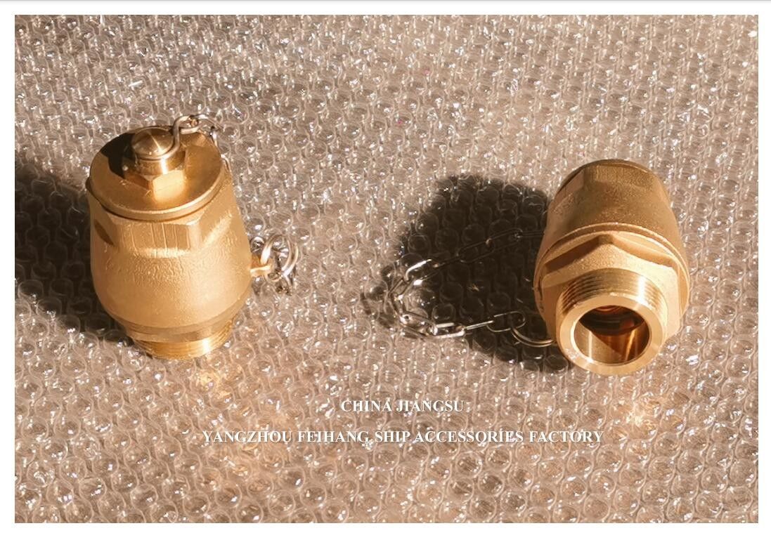 IMPA23339 Ventilateur à bille de vidange Corps en laiton NPT Couverture en acier inoxydable Boule flottante DN32 DN40 Modèle
