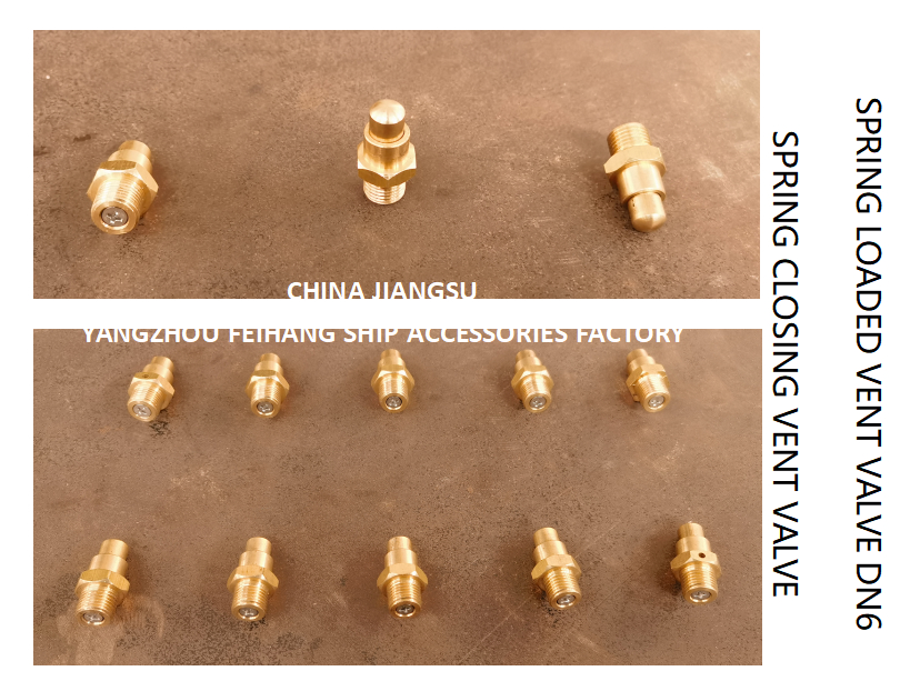 DN6 Brass Spring Loaded Vent Valve with CB/T3778-1999 Standard and Self Closing Function