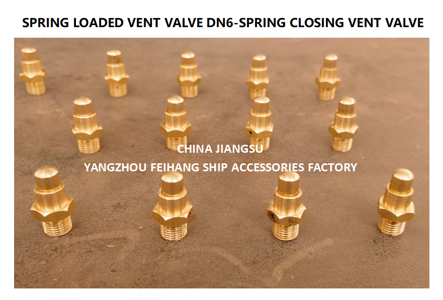 DN6 Threaded Spring Loaded Vent Valve with CB/T3778-1999 Standard for Marine Applications