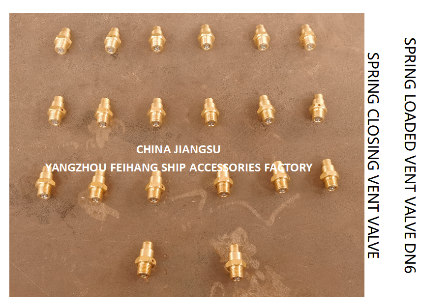 DN6 Spring Loaded Vent Valve with Threaded Ends Compliant with CB/T3778-1999 Standard