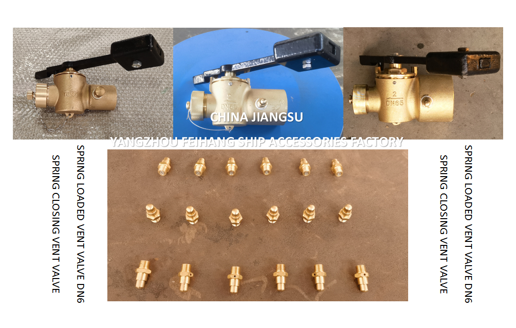 DN6 Size Spring Loaded Vent Valve with Threaded Connection Compliant to CB/T3778-1999 Standard