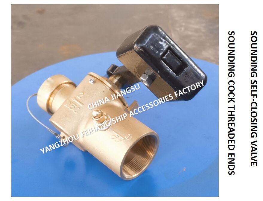 Profondeur en bronze à fermeture automatique avec extrémité de fil interne BSP et tige tournante à 360°.